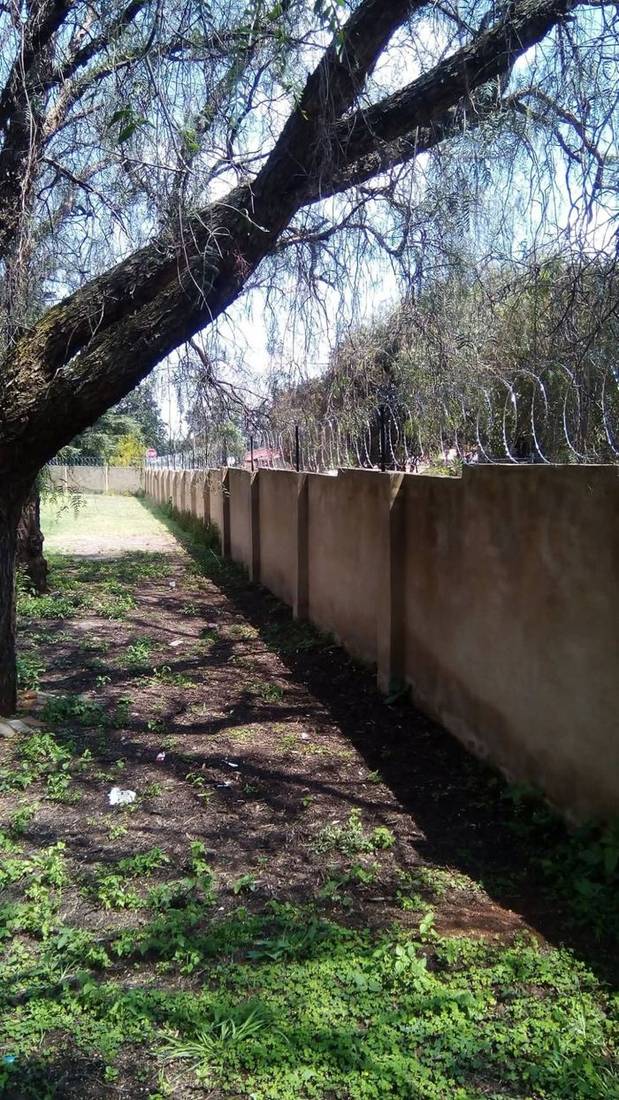 Flat wrap razor wire fitted along a plastered boundary wall